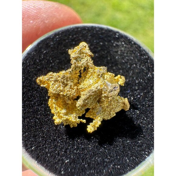 California Native Gold Crystal - 1.32 grams - Picture 7 of 7